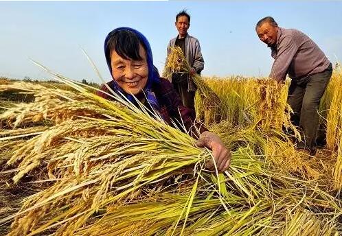 重磅！繼包產(chǎn)到戶之后，我國(guó)農(nóng)村又一次迎來(lái)重大改革