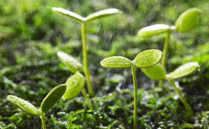 動態(tài) | 生物刺激劑多重效果大揭秘，可減少百萬噸氮肥的投入！